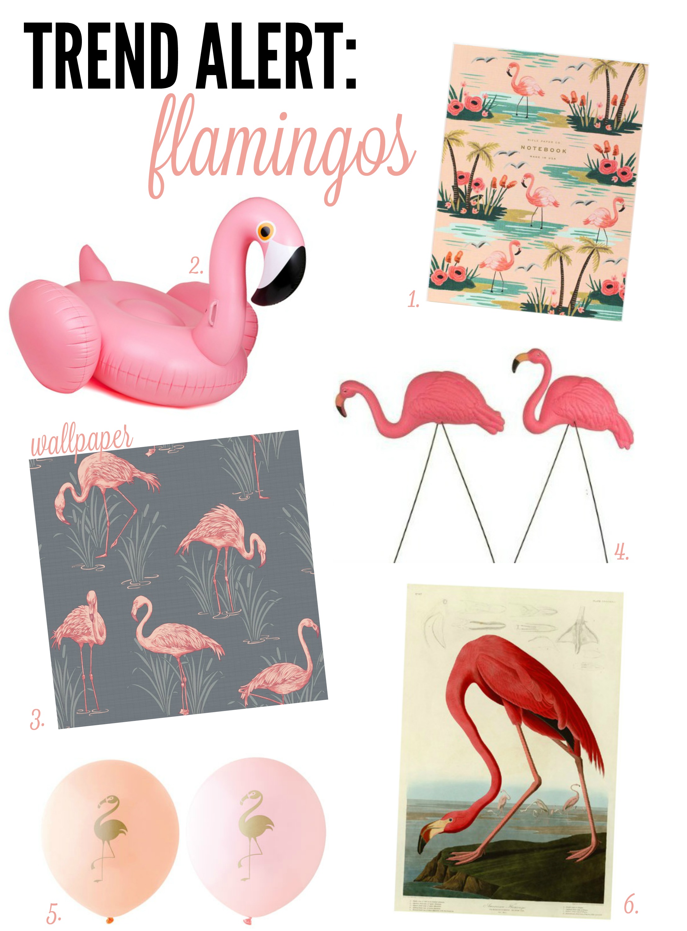 Flamingo Roundup